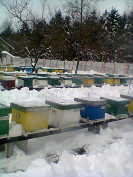 Fotogr.0038.jpg