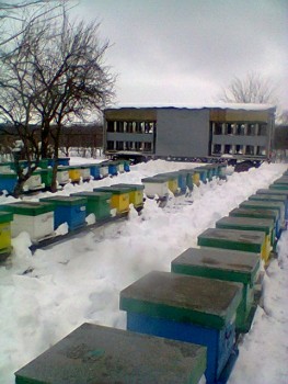 Fotogr.0047.jpg