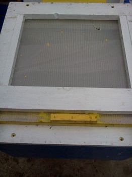 IMG031.jpg