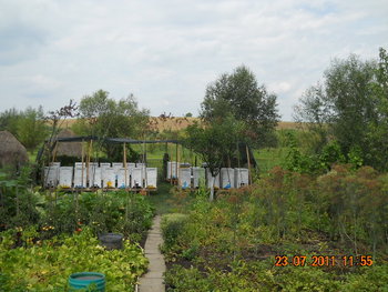 DSCN1137.JPG