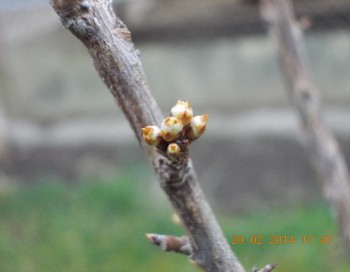 rsz_2picture_042.jpg