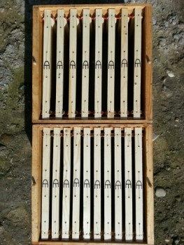 13930481205730.jpg