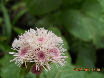 DSCN1221.JPG