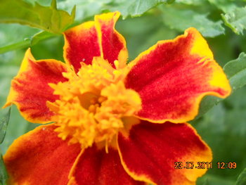DSCN1220.JPG