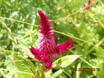 DSCN1222.JPG