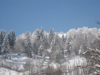 IMG_2500.JPG