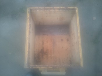stup galben.jpg