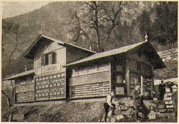 jan-strgar-maison-rucher-bitnje.jpg