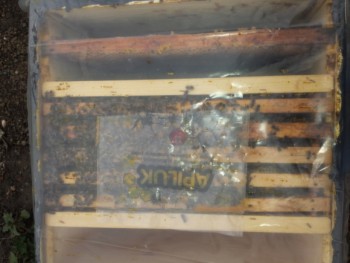 20140307_174533.jpg