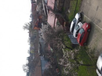 20140310_115537.jpg
