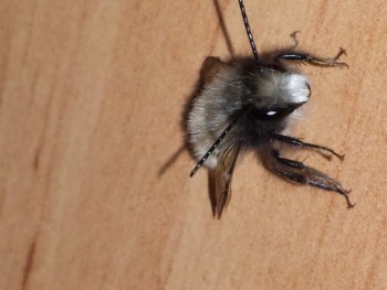 20140310_074822.jpg