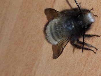 20140310_074846.jpg