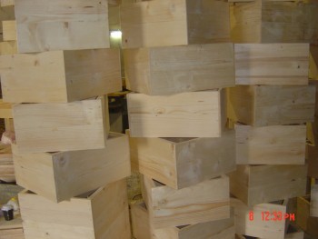 rsz_dsc03946.jpg