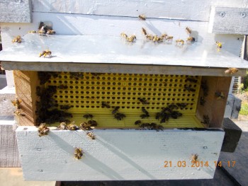 rsz_3picture_003.jpg
