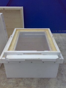 25072011082 (Medium).jpg