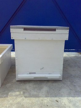 25072011076 (Medium).jpg