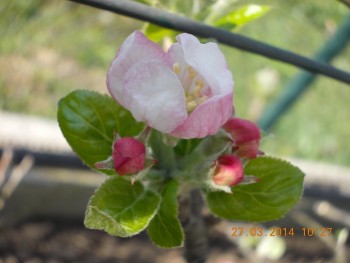 rsz_1picture_020.jpg