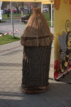 IMG_6434.JPG