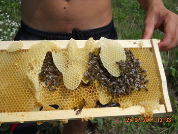 DSCN1277.JPG