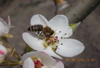 rsz_3picture_010.jpg