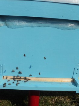 RDSC03759.jpg