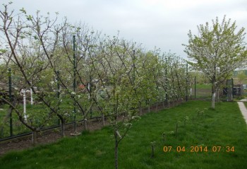 rsz_4picture_002.jpg