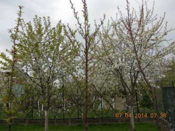 rsz_1picture_006.jpg