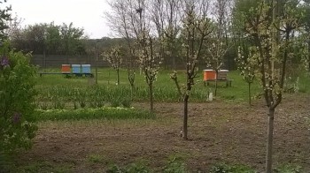 rsz_wp_20140406_002.jpg
