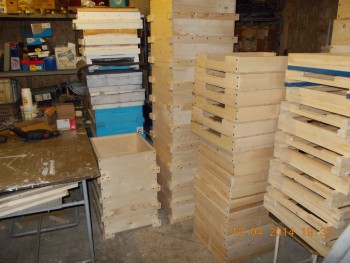 rsz_picture_004.jpg