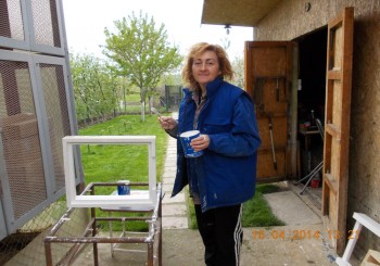 rsz_1picture_001.jpg