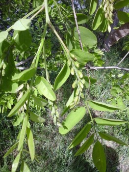 20140427_141555.jpg