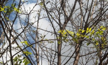 DSCF25032.jpg
