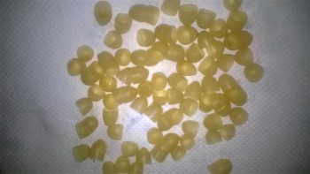 WP_20140510_008 (Small).jpg