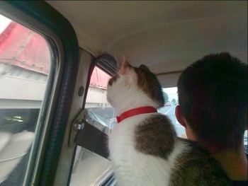 copilot.JPG