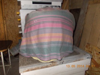 rsz_picture_020.jpg