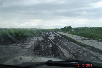 DSC07374 - Copy.JPG
