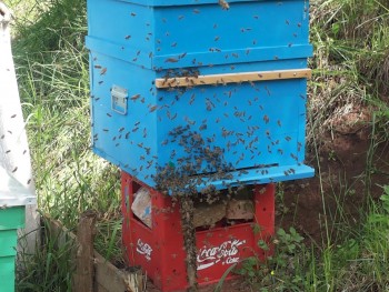 20140515_125514.jpg