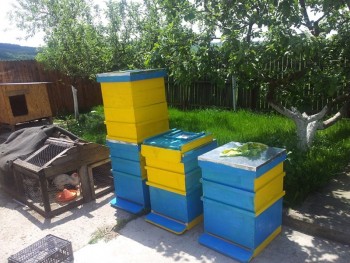 2014-05-20 13.11.12.jpg