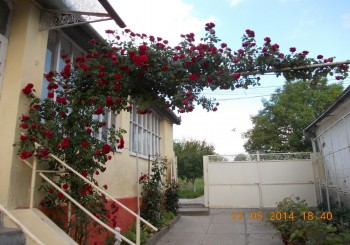 rsz_1picture_005.jpg