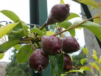rsz_picture_021.jpg