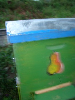 DSC03569.JPG