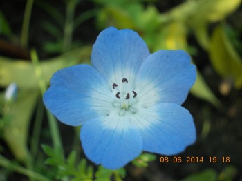 rsz_picture_005.jpg