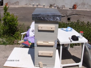 010_resize.JPG