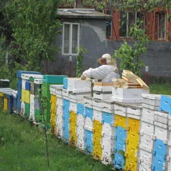rsz_img_0355.jpg