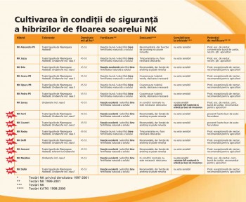 fl-soarelui---catalog-syngenta.jpg
