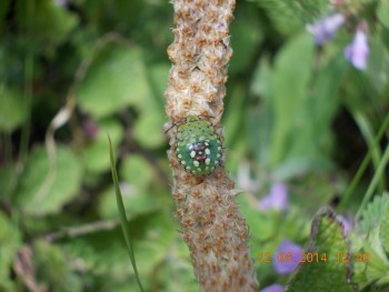rsz_picture_030.jpg