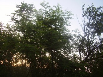poze noi 3 030.JPG