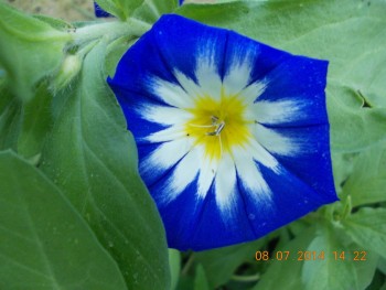 rsz_2picture_006.jpg