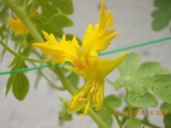 rsz_picture_010.jpg