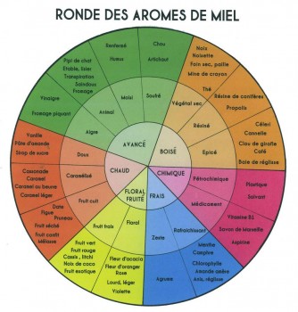 Initiere in degustarea de miere.jpg
